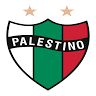 Escuela de Fútbol Palestino La Reina