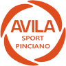 Palestra Avila