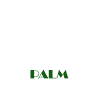 PALM Pole Dance & Fitness Studio