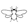 Palm Bee