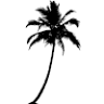 Palm Coast Villas