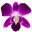 Palm Desert Facials
