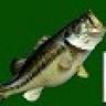 Palmetto Guide Service