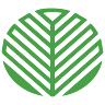 PalmierShop