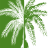 Palm Produce Resortwear