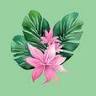 Palmwoods Florist
