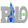 Palo CNG