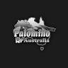 Palomino RV Australia