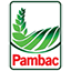 Pambac Mihai Viteazu