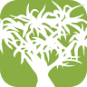 Pandanus Holiday Apartments Mooloolaba