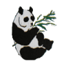 Panda Rex