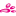 Pantera Cor de Rosa
