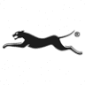 Panther Electrical Industries