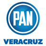 CDE Veracruz PAN - PAN Veracruz