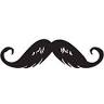 Papa Stache
