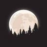 Paper Moon Painting & Decor