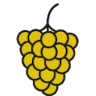 Vinothek Par-Terre