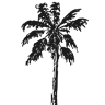 Island Estate