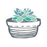 Páramo Plantas-Curridabat
