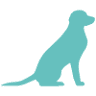 Park House Veterinary Centre