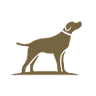Park Lane Kennels