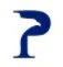 Parmar American Visa Law, PLLC