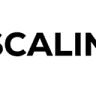 Pascalinas