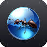 Pasco Termite & Pest Control