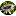 Passiflora