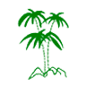 Pastelería La Palmera 2