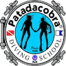 Patadacobra Diving in Bombinhas