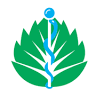Maltese Pharmacy