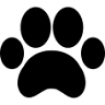 Pati Petshop