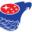Patriot Subaru
