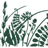 Pat's Pastured