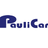 Paulicar-inspections Auto Lda