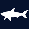 Paul and shark