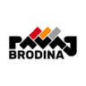 Pavaj Brodina