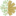 PAVIWOOD