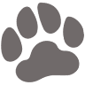 Paw Prints