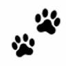 Paws Evolution Inc