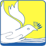 Pax Insurance Company Limited