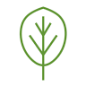 paxnatura Naturbestattungs GmbH & Co KG