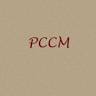 PROM Y CONST CASTILLA LA MANCHA SL