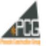 Pinnacle Construction Group