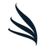 Patrimoine Entreprise et Audit