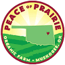 Peace of prairie