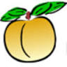 Peachtree Computers