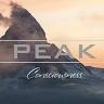 Peak Consciousness LLC