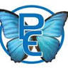 PE Biz Services, Inc.